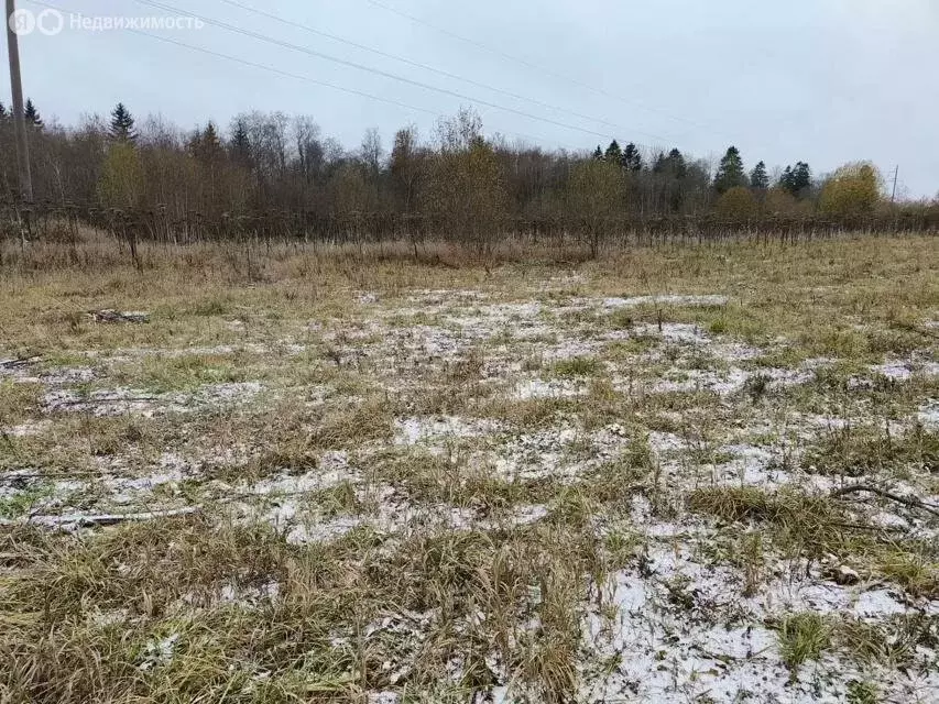 Участок в Волосовский район, Большеврудское сельское поселение, ... - Фото 1