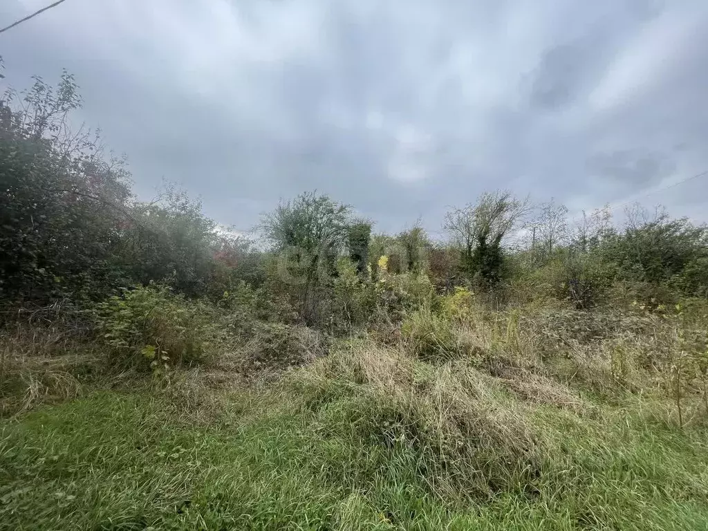 Участок в Адыгея, Майкоп Восход СНТ, ул. Ореховая (4.0 сот.) - Фото 0