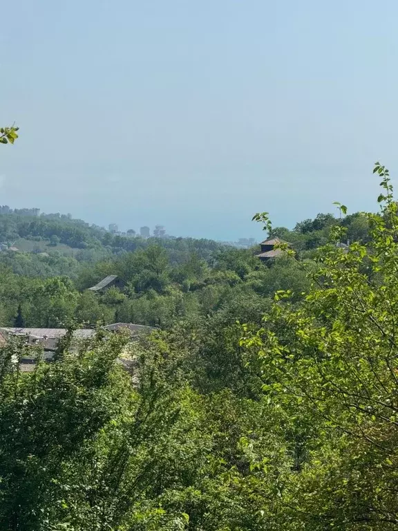 Участок в Краснодарский край, Сочи городской округ, с. Сергей-Поле ул. ... - Фото 0