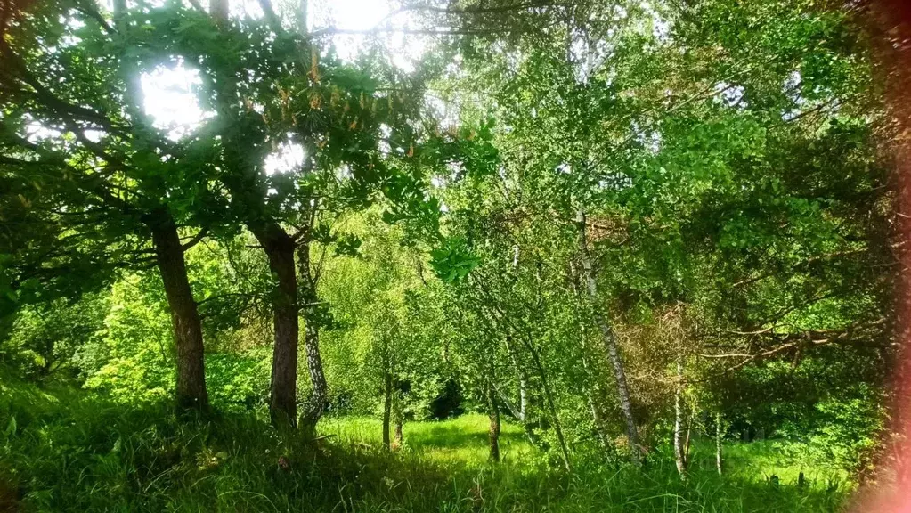 Дом в Калужская область, Бабынинский район, Муромцево с/пос, д. ... - Фото 1