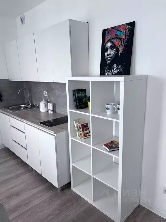 Студия Ленинградская область, Всеволожское городское поселение, пос. ... - Фото 2