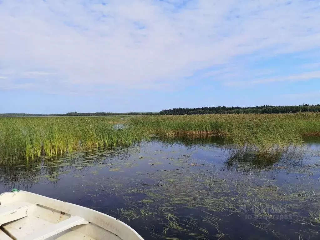 Участок в Ленинградская область, Выборгский район, Советское городское ... - Фото 2