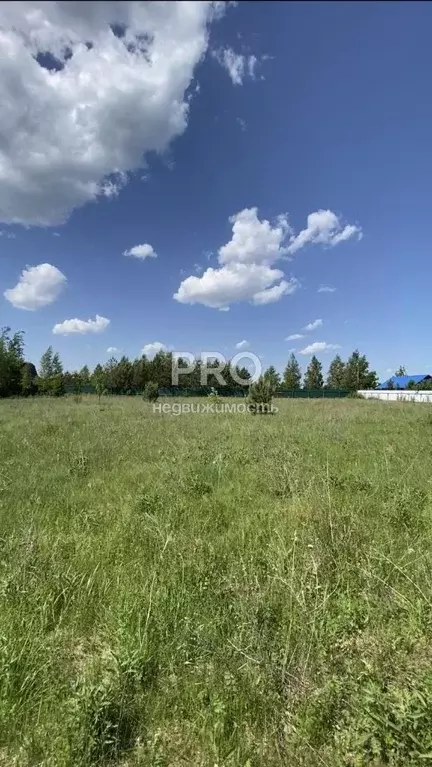 Участок в Ярославская область, Некрасовский муниципальный округ, с. ... - Фото 2