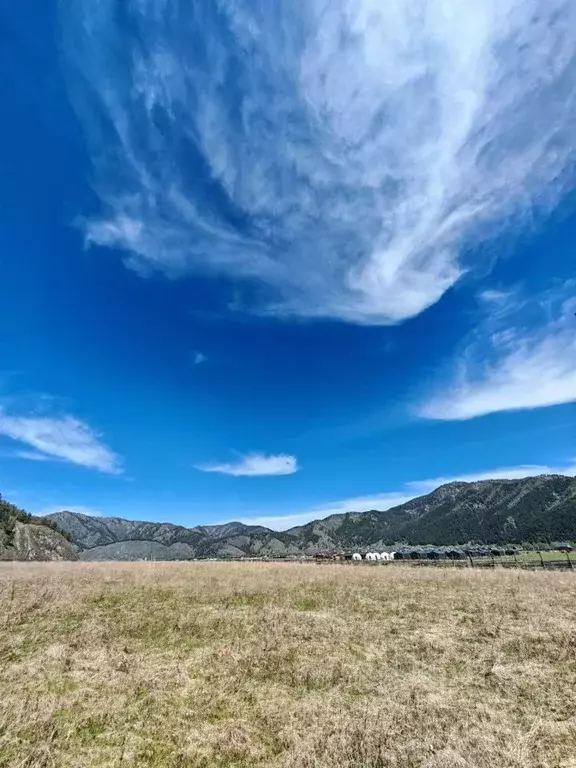 Участок в Алтай, Чемальский район, Аносинское с/пос  (10.5 сот.) - Фото 2