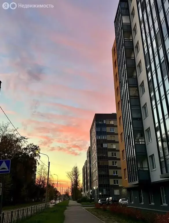 2-комнатная квартира: Колпино, Павловская улица, 61 (66 м) - Фото 2