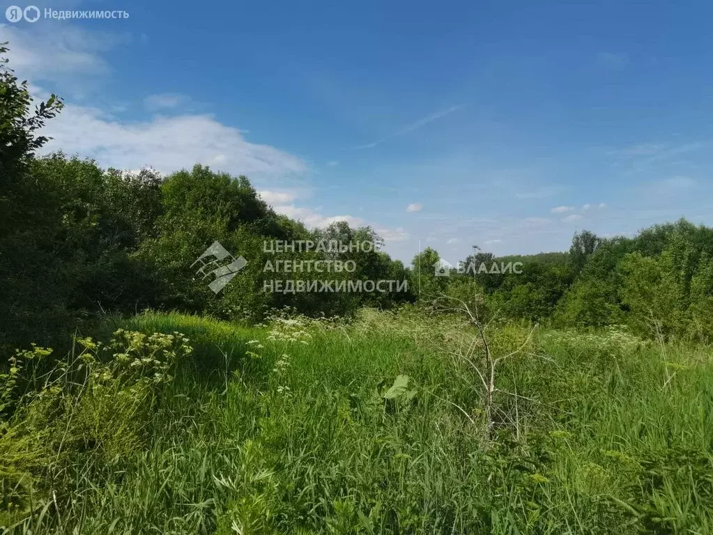 Участок в село Вышетравино, Дачная улица (15 м) - Фото 1
