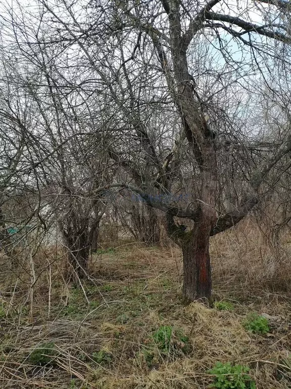 Дача 25 м на участке 5 сот. - Фото 0