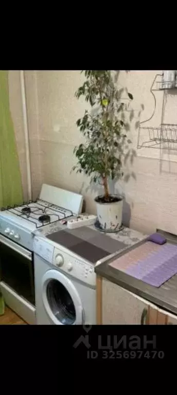 1-к кв. Воронежская область, Воронеж ул. Героев Сибиряков, 87 (21.0 м) - Фото 2