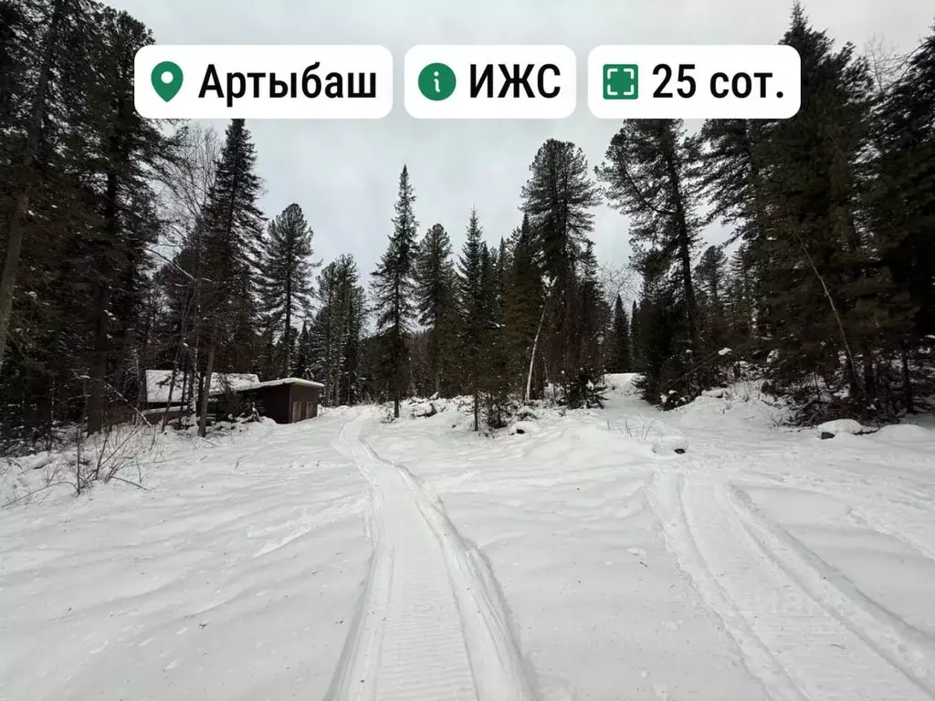 Участок в Алтай, Турочакский район 1 (25.0 сот.) - Фото 1