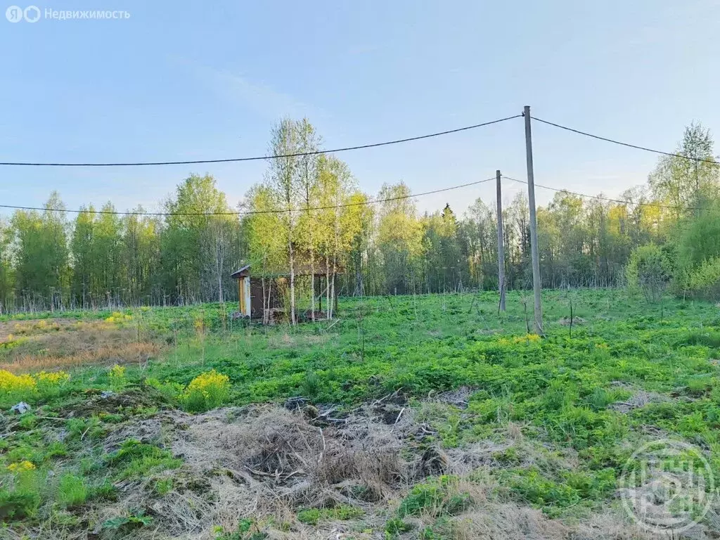 Участок в Выборгский район, посёлок Поляны (20 м) - Фото 2