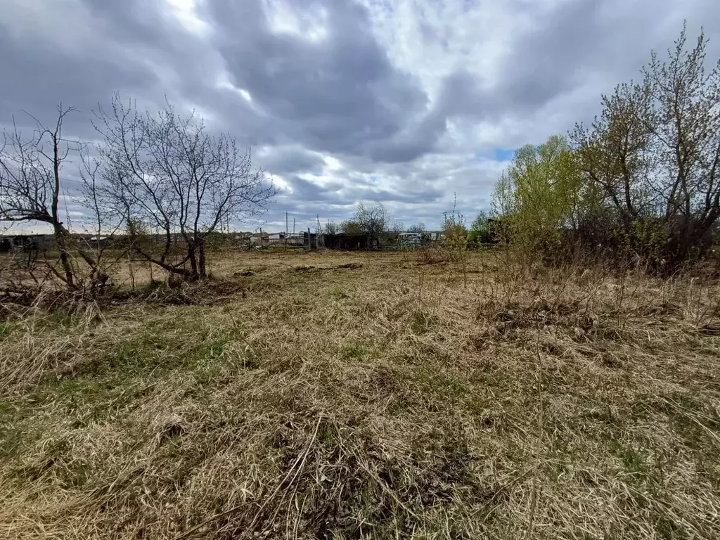 Участок в Новосибирская область, Новосибирский район, с. Криводановка  ... - Фото 0