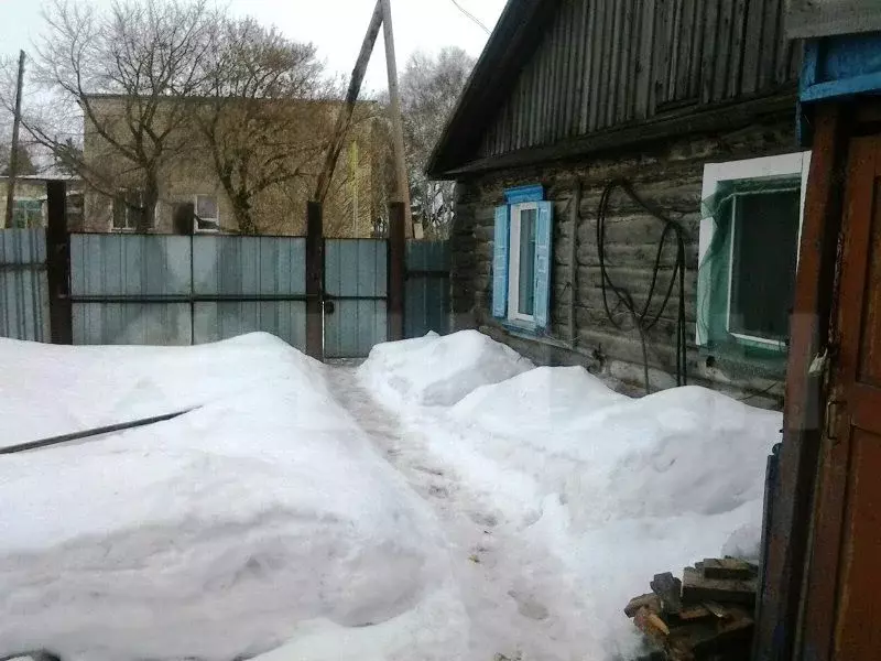 Погода на майке курганская область щучанский. Село майка Курганская область.