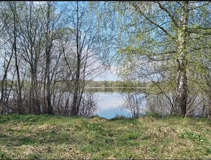 Участок 10 сот. (СНТ, ДНП) - Фото 0