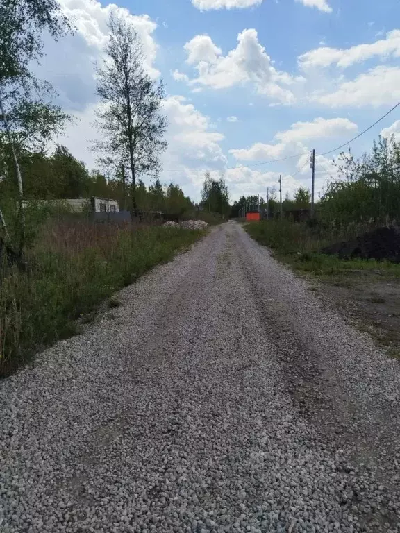 Участок в Московская область, Орехово-Зуево ул. Красина (10.0 сот.) - Фото 1