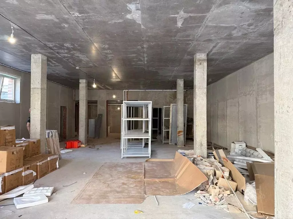 Помещение свободного назначения в Татарстан, Казань просп. Альберта ... - Фото 2