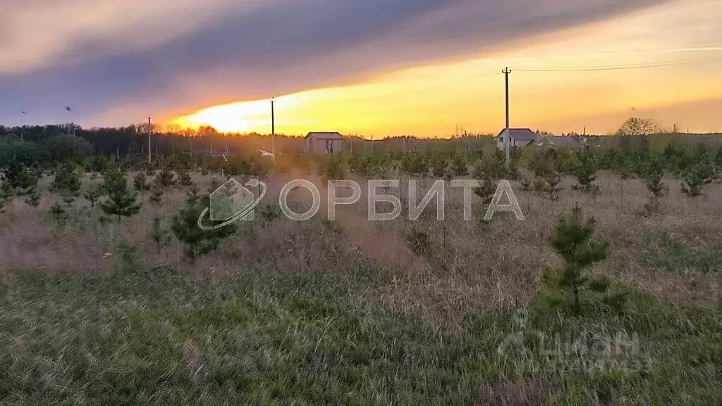 Участок в Тюменская область, Тюменский муниципальный округ, Каменское ... - Фото 1