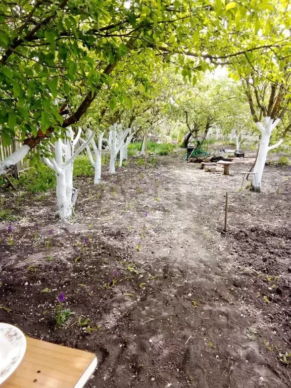 Участок в Ставропольский край, Ставрополь Вольница СНТ, 210 (6.5 сот.) - Фото 1