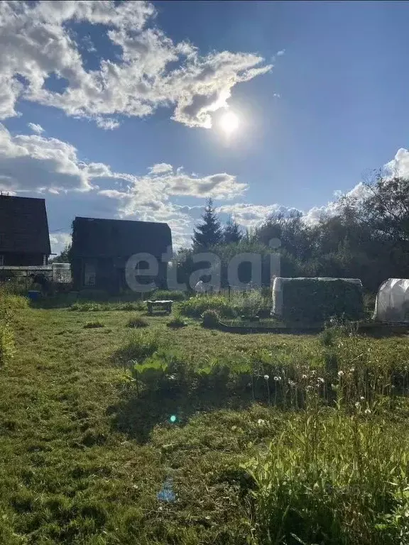 Дом в Новосибирская область, Новосибирск Лилия СНТ, 631 (20 м) - Фото 1