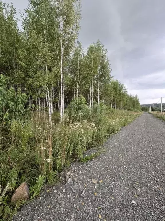 Участок в Кемеровская область, Кемеровский район, д. Солонечная ул. ... - Фото 1