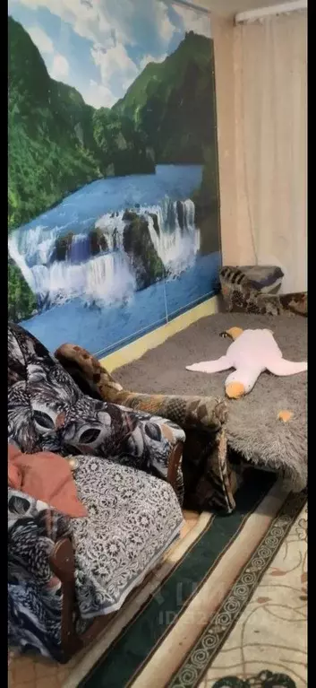 Студия Иркутская область, Иркутск бул. Рябикова, 16В (24.0 м) - Фото 1