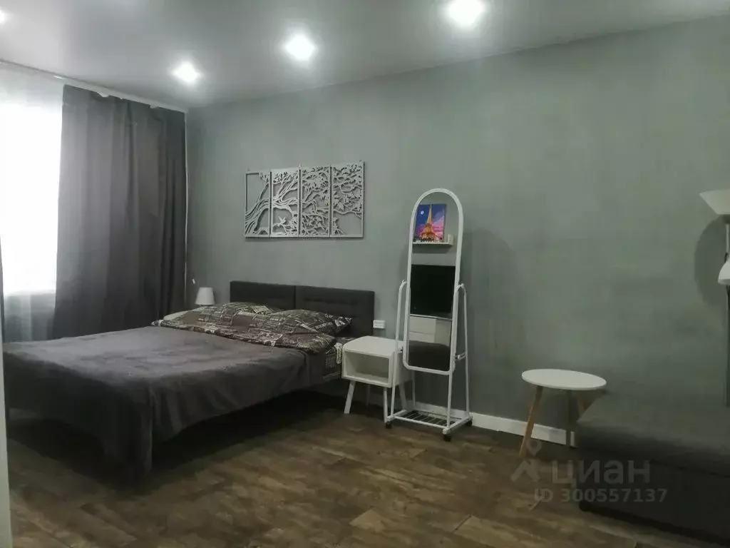 1-к кв. Нижегородская область, Дзержинск ул. Гайдара, 70А (30.0 м) - Фото 1