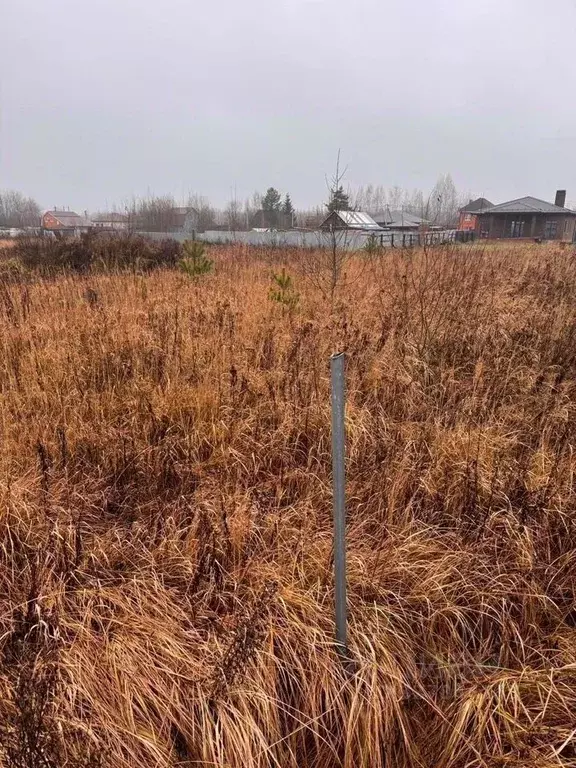 Участок в Московская область, Луховицы муниципальный округ, д. Ларино  ... - Фото 2