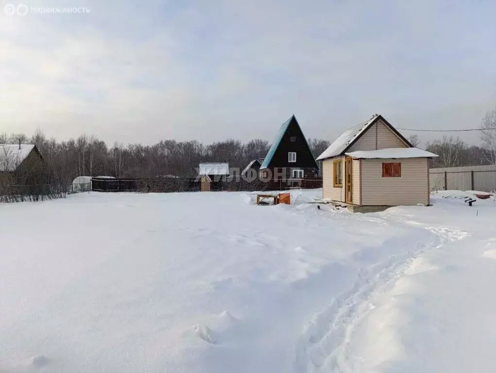 Дом в Колыванский район, Соколовский сельсовет (12 м) - Фото 0