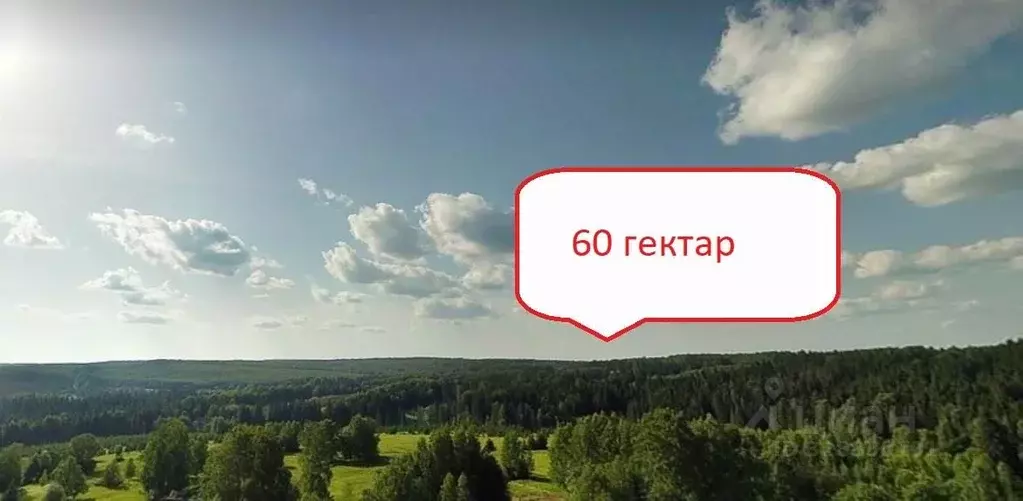 Участок в Пермский край, Ильинский муниципальный округ  (6000.0 сот.) - Фото 1