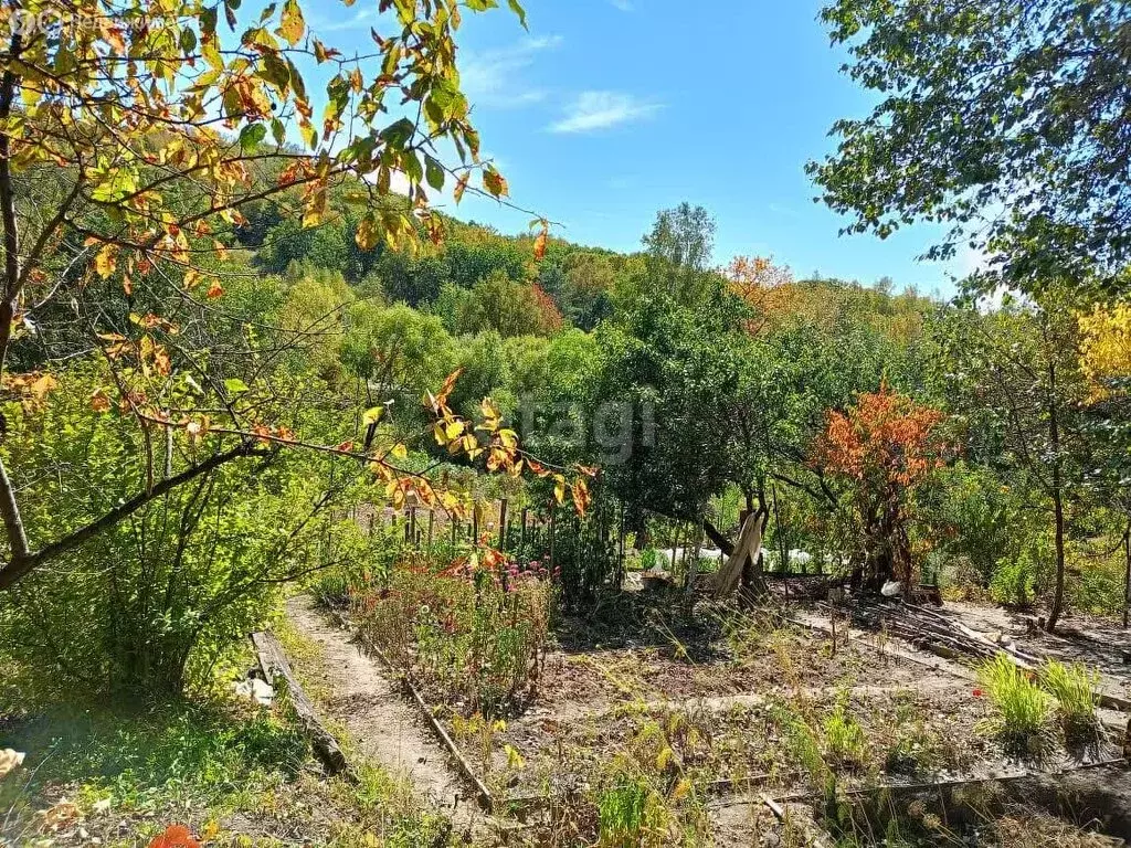 Участок в Благовещенск, посёлок Моховая Падь (8.6 м) - Фото 0