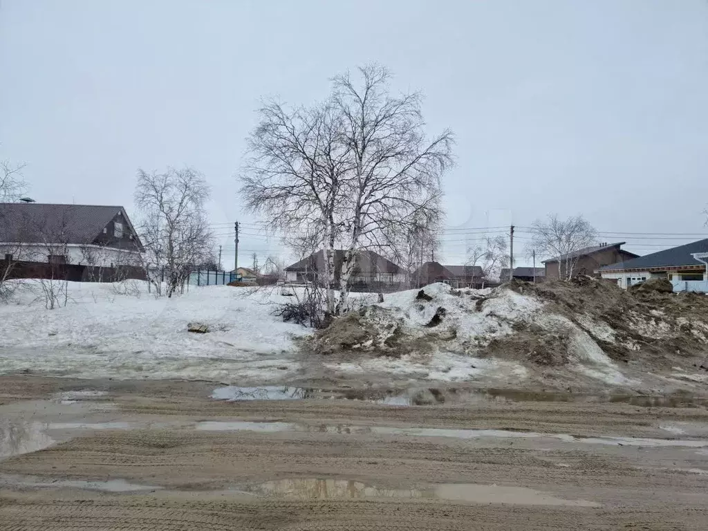 Участок 6 сот. (СНТ, ДНП) - Фото 1