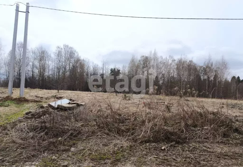 Участок в Костромской район, Минское сельское поселение, село Минское ... - Фото 0