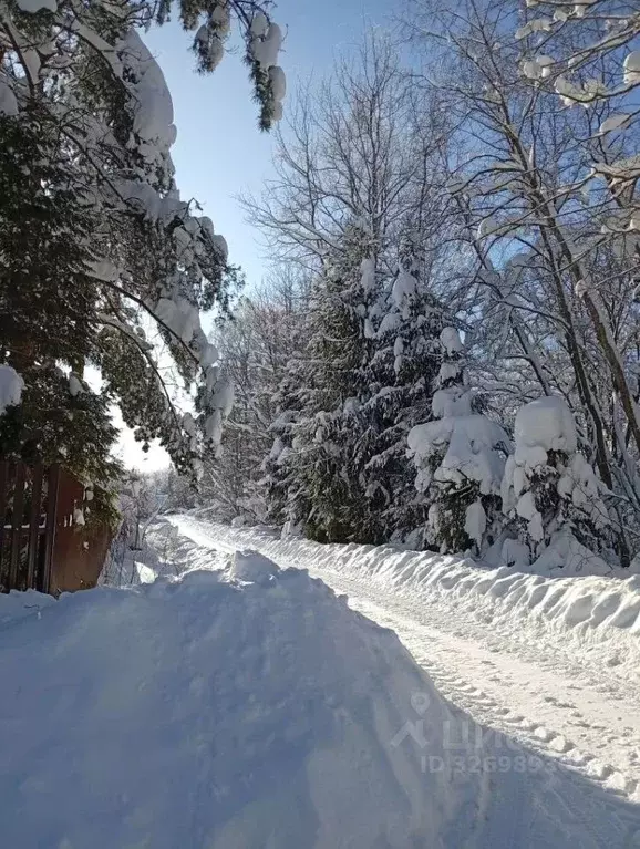 Участок в Московская область, Клин городской округ, Колос СНТ 104 (6.0 ... - Фото 1