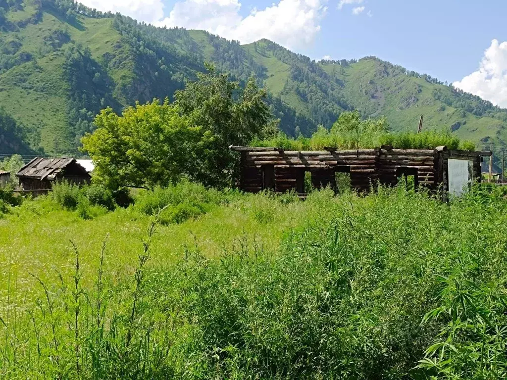 Участок в Алтай, Шебалинский район, с. Мыюта  (10.0 сот.) - Фото 1