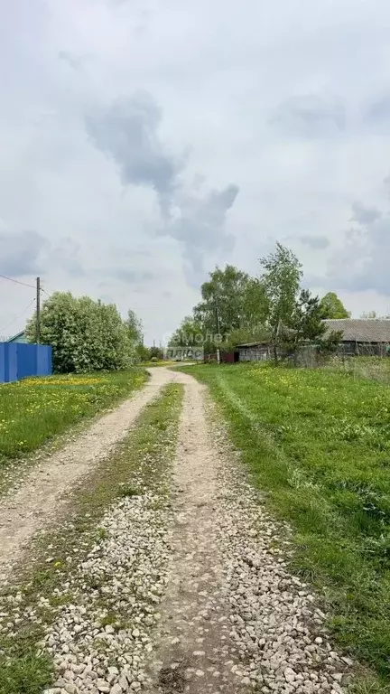 Дом в Рязанская область, Рыбновский муниципальный округ, с. Ногино 18 ... - Фото 2