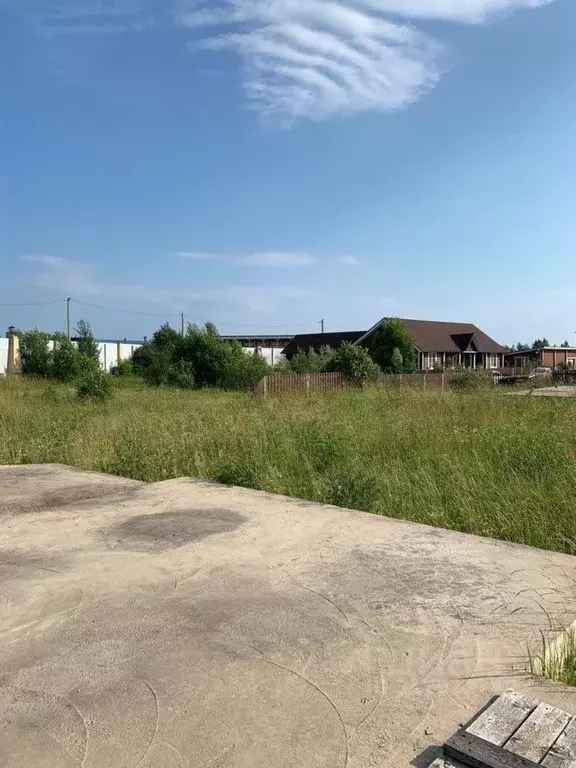 Участок в Московская область, Можайский муниципальный округ, Маяк кп ... - Фото 1