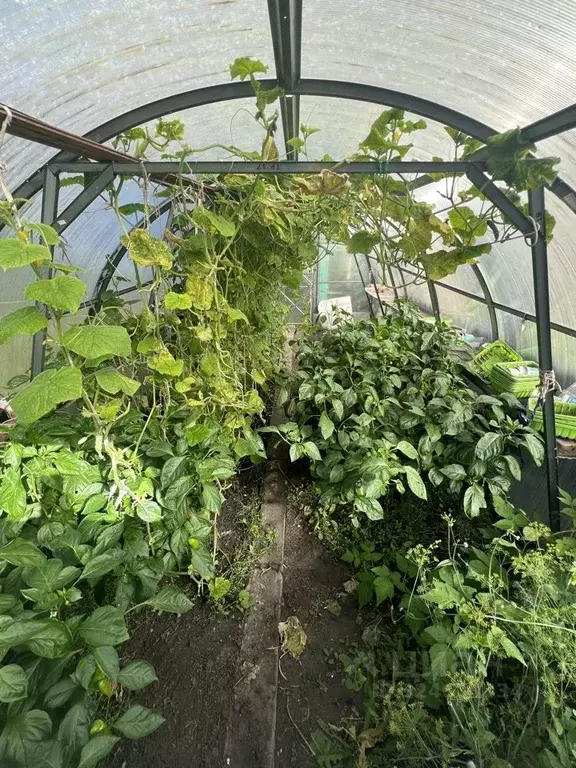 Дом в Омская область, Омск СОСН Автомобилист-6 тер.,  (49 м) - Фото 2