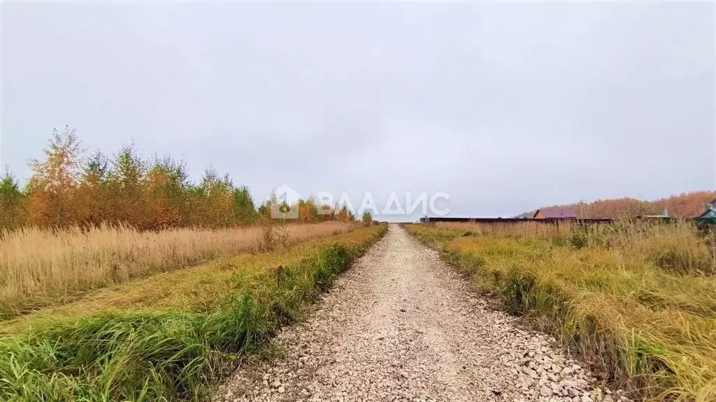 Участок в Владимирская область, Суздальский район, Новоалександровское ... - Фото 2