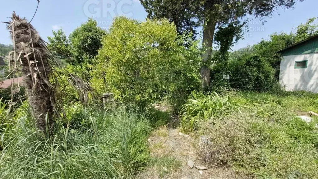 Участок в Краснодарский край, Сочи городской округ, с. Раздольное ул. ... - Фото 0