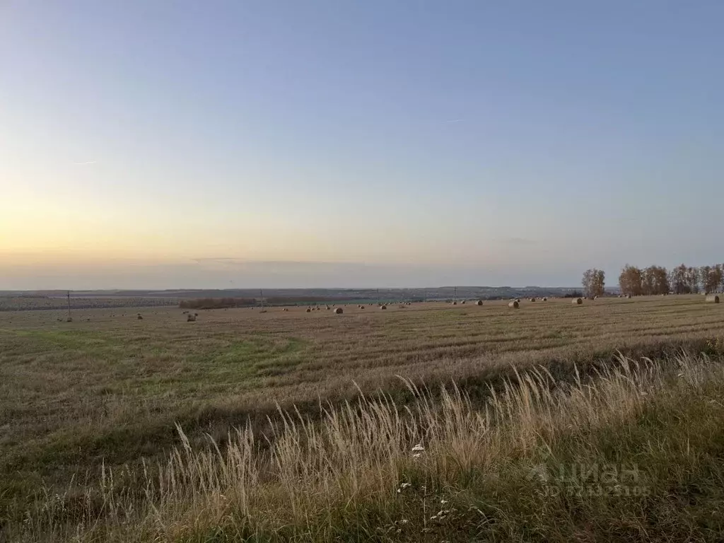 Участок в Нижегородская область, Дальнеконстантиновский муниципальный ... - Фото 2