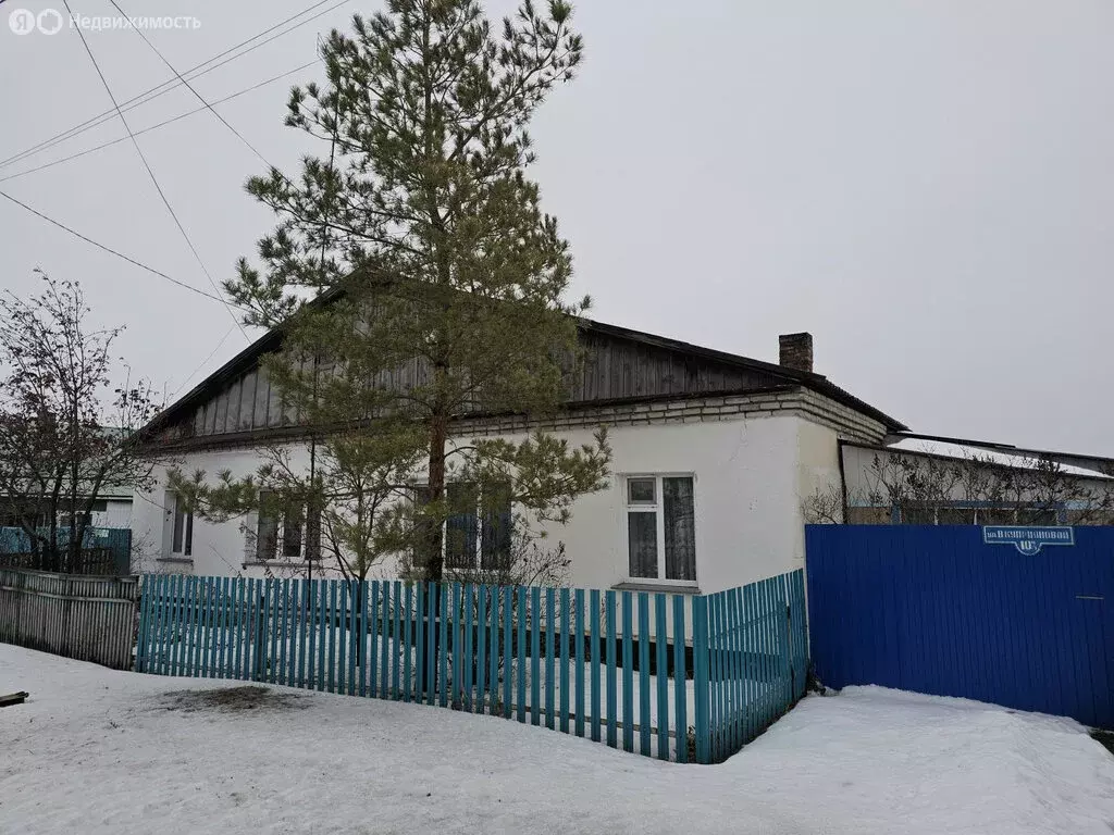 Дом в Новосибирская область, рабочий посёлок Чистоозёрное (64.3 м) - Фото 1