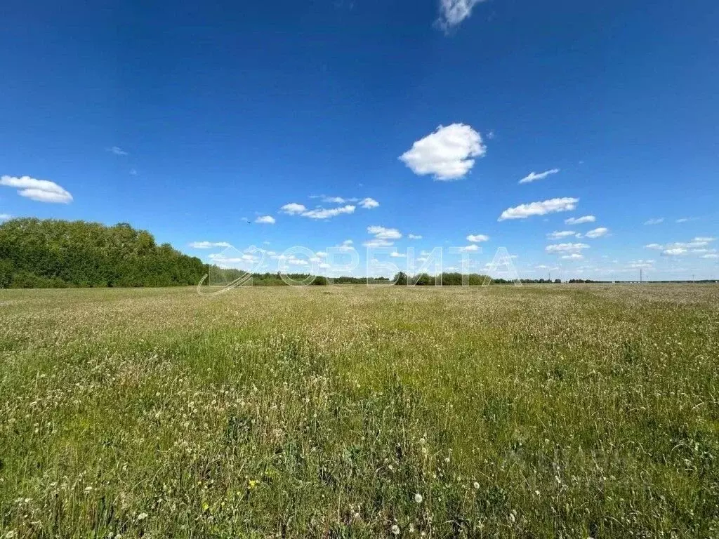 Участок в Тюменская область, Тюменский район, д. Елань 14 (8.2 сот.) - Фото 0