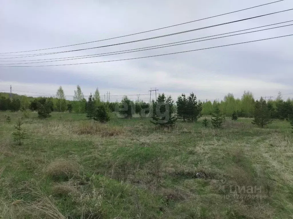 Участок в Челябинская область, Сосновский муниципальный округ, с. ... - Фото 2