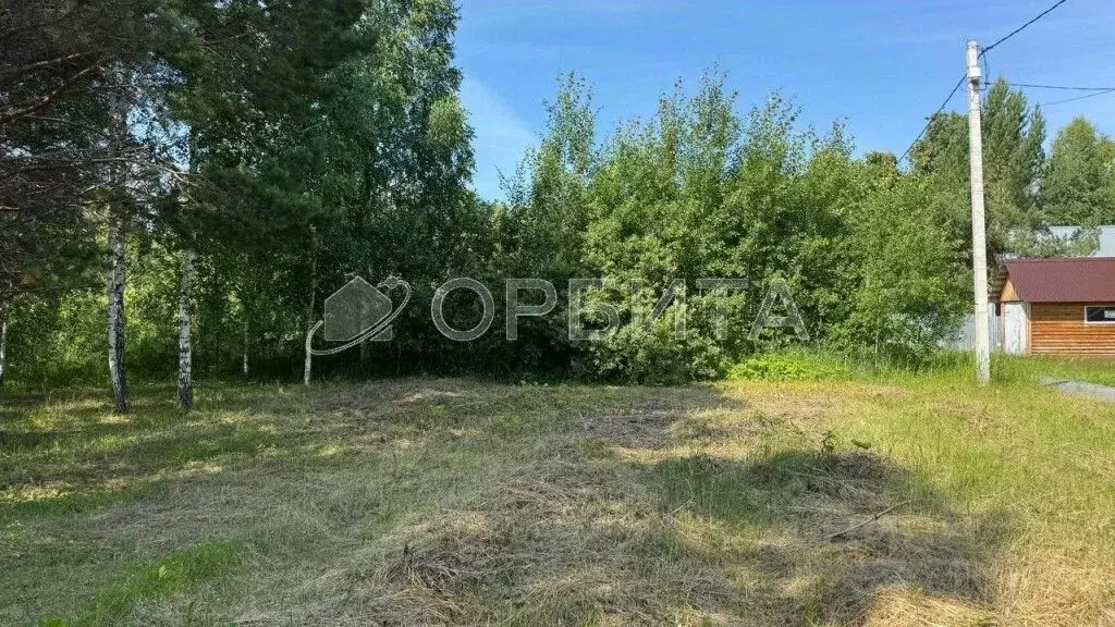 Участок в Тюменская область, Нижнетавдинский район, Геофизик 2 СНТ  ... - Фото 1