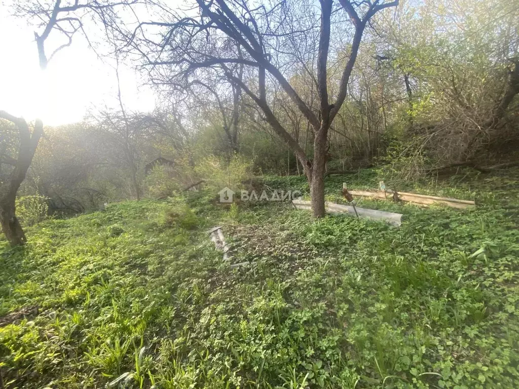 Участок в Нижегородская область, Нижний Новгород Родник садоводческое ... - Фото 1