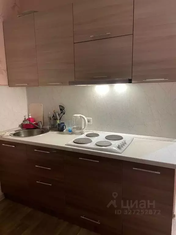 Студия Пензенская область, Пензенский район, Засечный сельсовет, с. ... - Фото 2