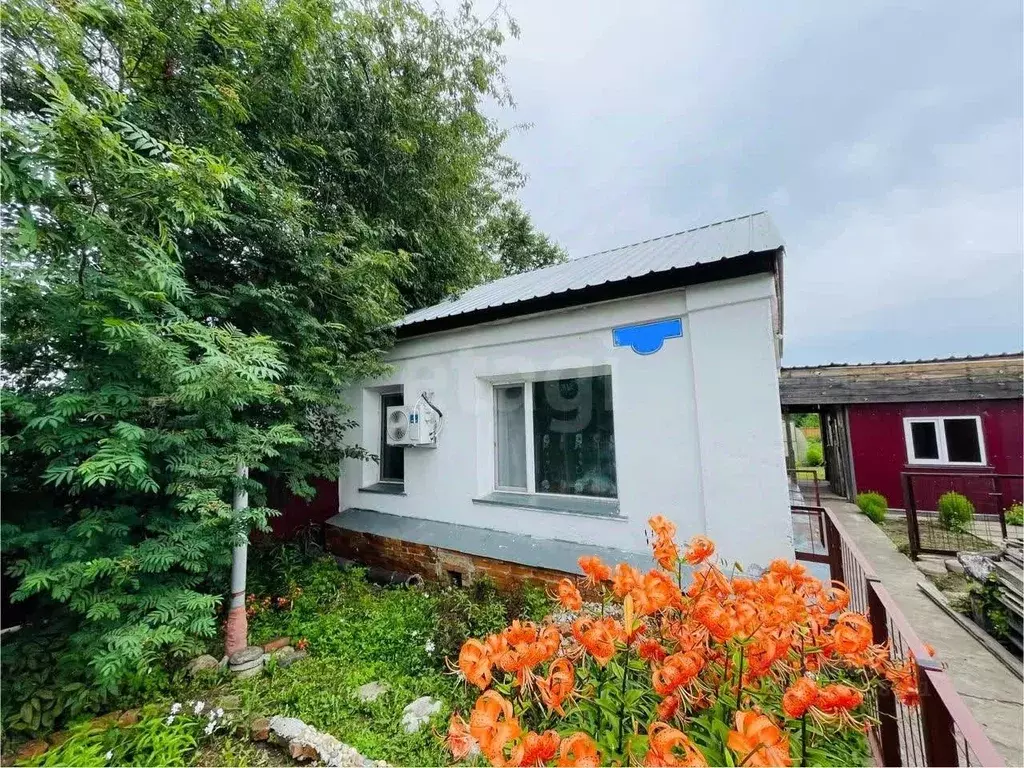 Дом в Амурская область, Белогорск Белогорская ул., 37 (46 м) - Фото 1