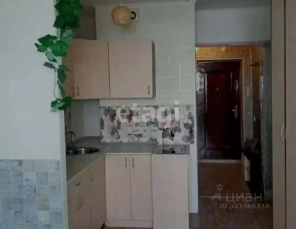 Студия Пермский край, Пермь Автозаводская ул., 30 (20.4 м) - Фото 1