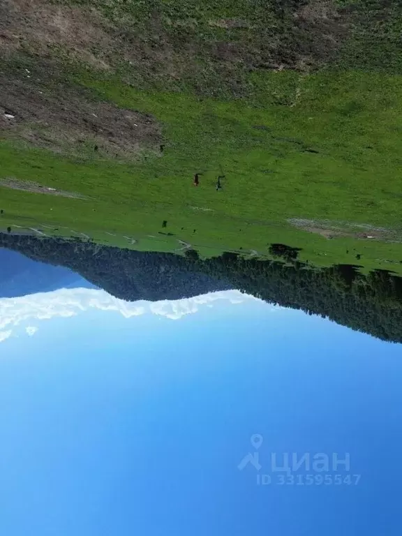 Участок в Алтай, Чемальский район, с. Чемал  (12.0 сот.) - Фото 2