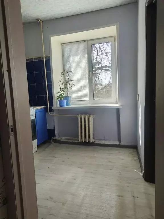 1-к кв. Нижегородская область, Арзамас ул. Кольцова, 5 (31.0 м) - Фото 1