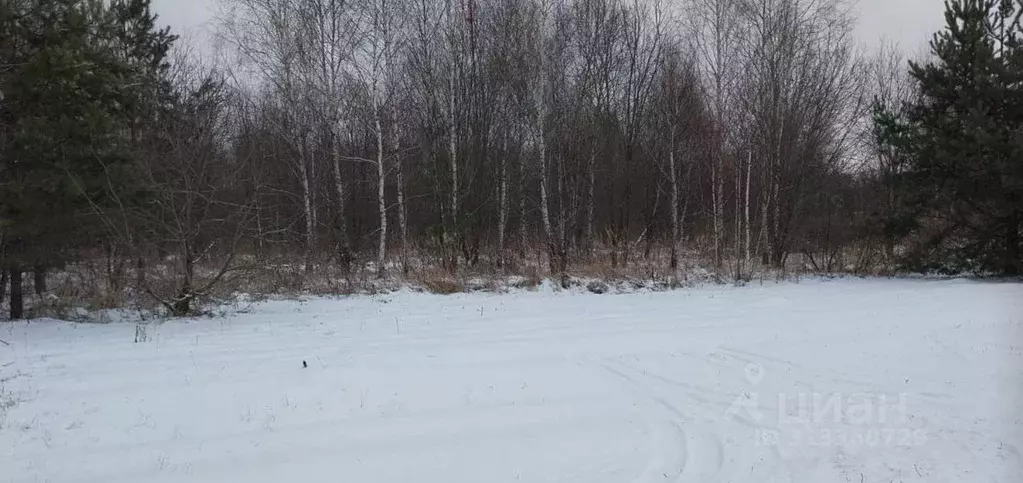 Участок в Московская область, Ступино городской округ, с. Мещерино ул. ... - Фото 1